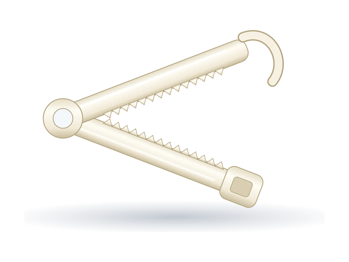 Illustration of the Umbilical Cord Clamp